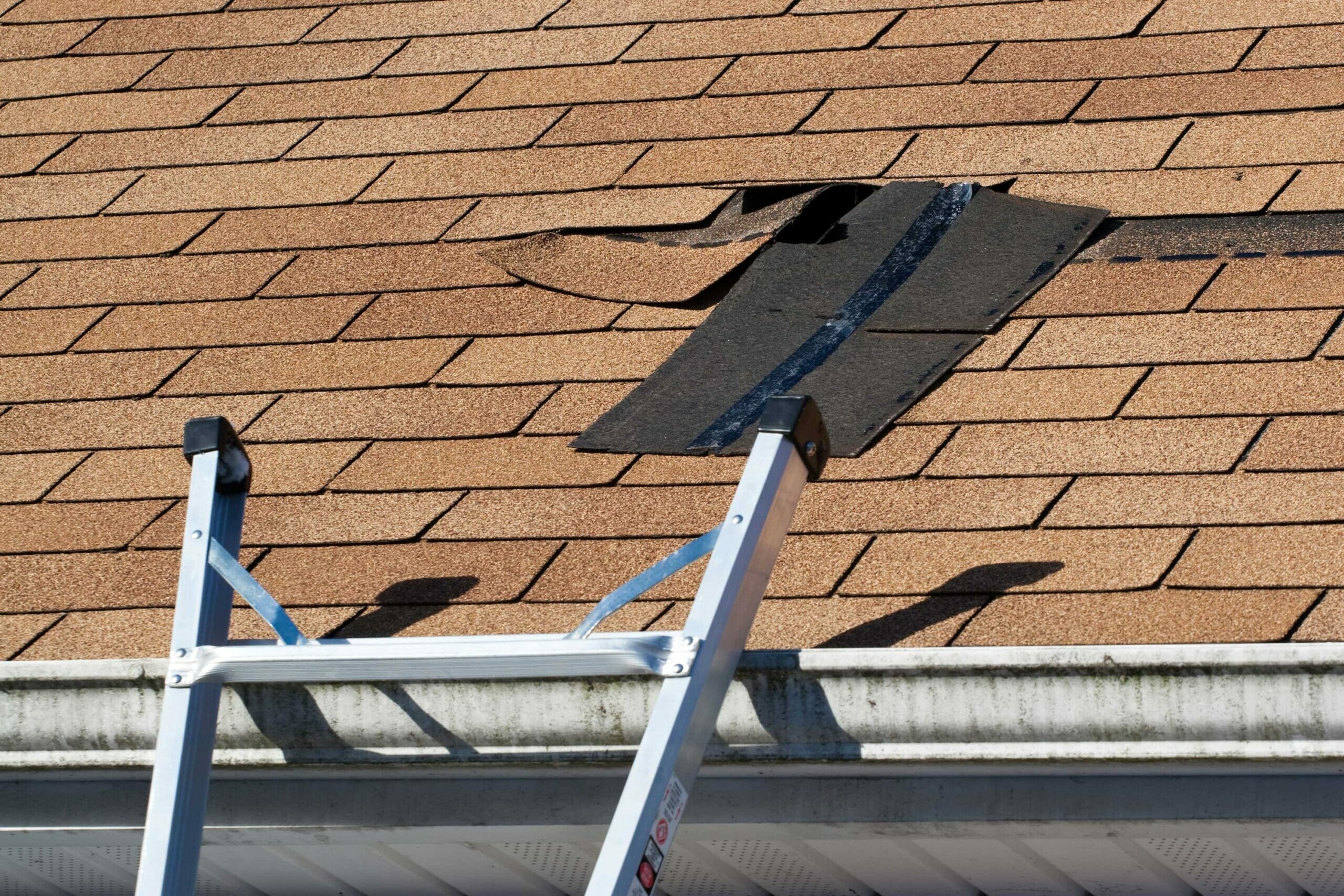 Trusted Spring Damage Roof Repair Company in Billings