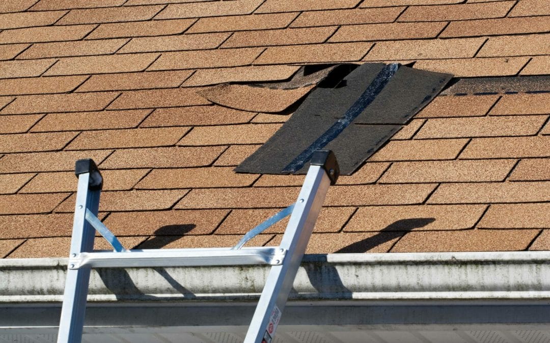 The Most Common Spring Roofing Problems in Billings