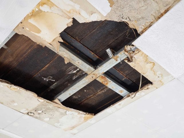 Trusted Roof Repair Company in Billings